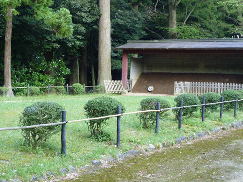 弥彦神社の境内にある鹿苑＠2011夏の新潟旅行_c0152767_13020827.jpg
