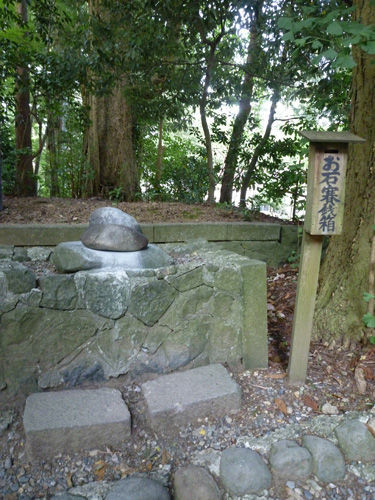 弥彦神社の境内にある鹿苑＠2011夏の新潟旅行_c0152767_13030775.jpg