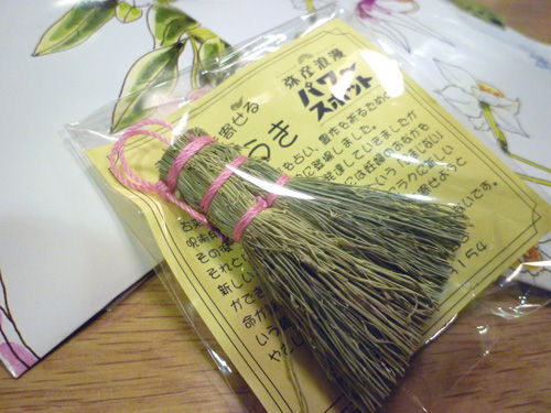 弥彦神社周辺を散策&ホテルで買った新潟土産@2011夏の新潟旅行_c0152767_13285878.jpg