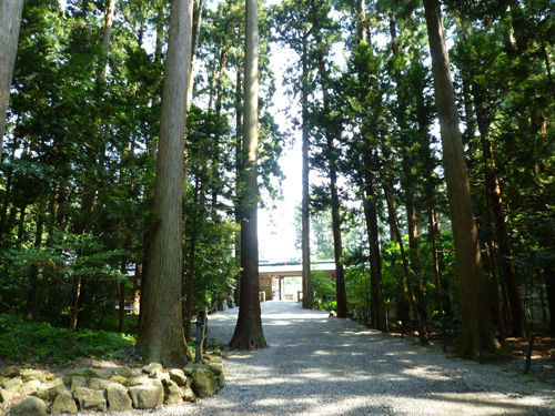 弥彦山の山頂へロープウェイで@2011夏の新潟旅行_c0152767_14350375.jpg