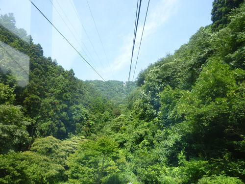 弥彦山の山頂へロープウェイで@2011夏の新潟旅行_c0152767_14363100.jpg