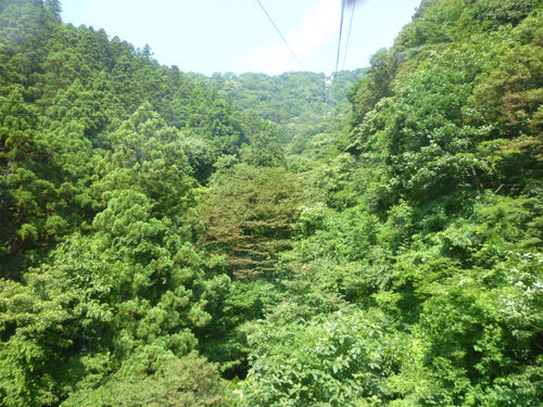 弥彦山の山頂へロープウェイで＠2011夏の新潟旅行_c0152767_14365053.jpg
