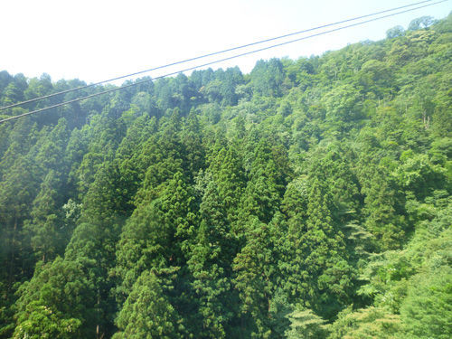 弥彦山の山頂へロープウェイで@2011夏の新潟旅行_c0152767_14371611.jpg