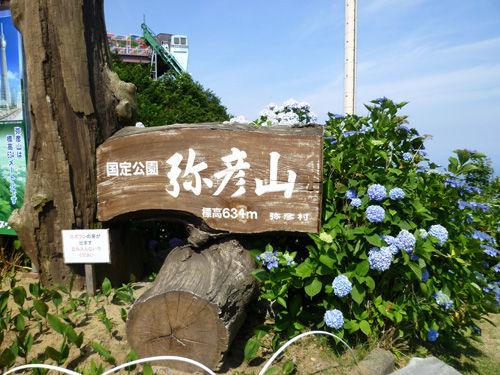 越後平野を見渡す事ができる、弥彦山からの絶景@2011夏の新潟旅行_c0152767_14452233.jpg