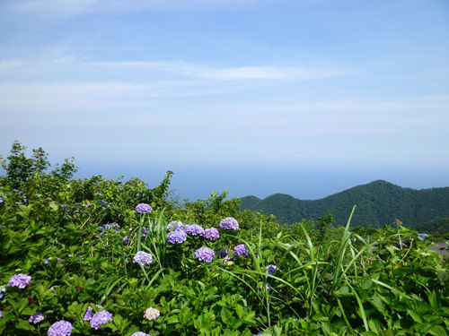 越後平野を見渡す事ができる、弥彦山からの絶景@2011夏の新潟旅行_c0152767_14453745.jpg