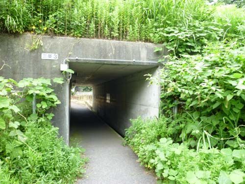 さよなら新潟、高速バスで東京へ@2011夏の新潟旅行_c0152767_16301139.jpg