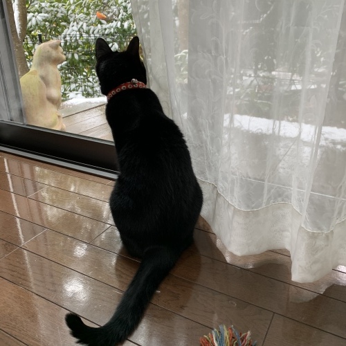 猫ブローチ　2_e0358096_19492230.jpeg