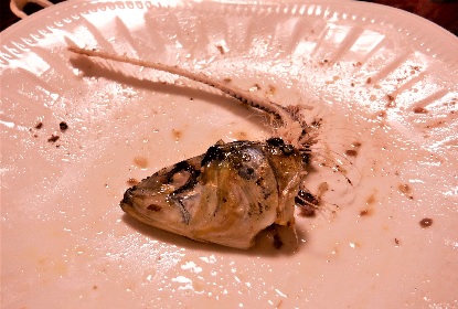 鰯の死骸_e0077899_9201424.jpg