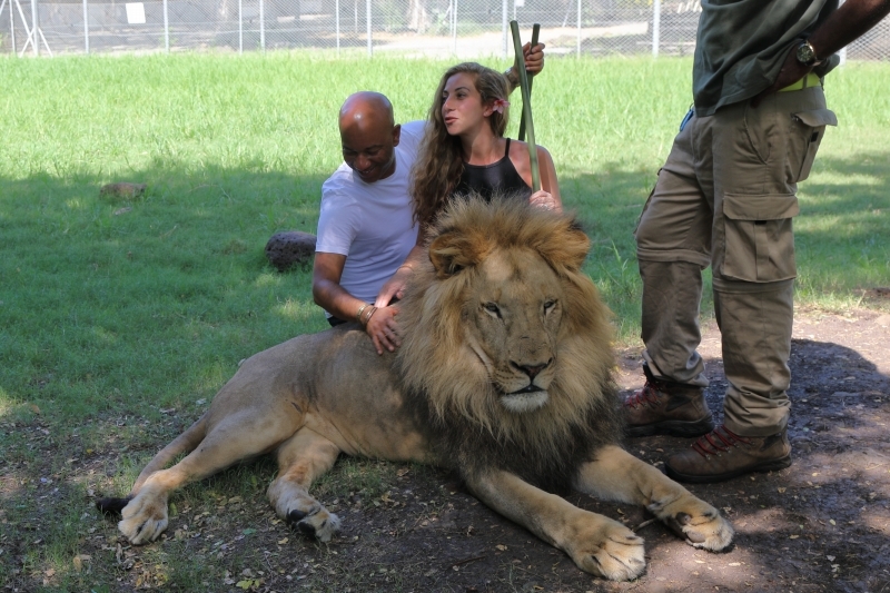 モーリシャスの動物園で ライオンと記念撮影 2月6日 旅プラスの日記 モーリシャスの動物園で ライオンと記念撮影 2月6日 旅プラスの日記