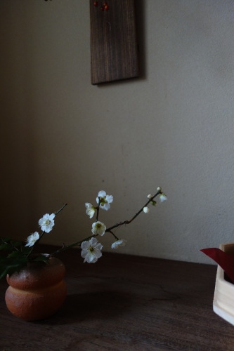 冬の寒さ到来_a0197730_02171268.jpeg