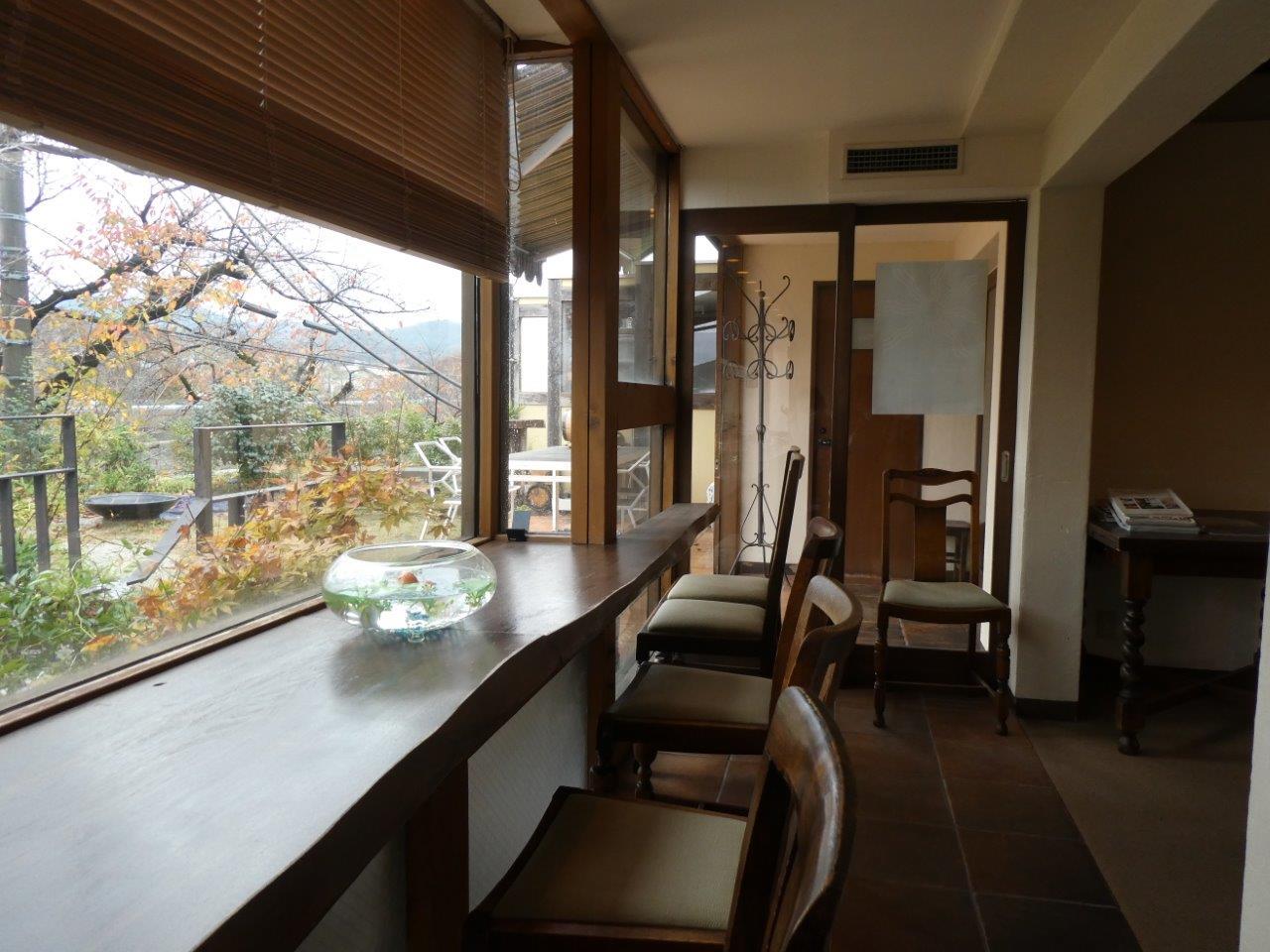 きらきらひかる  　12月初旬の記録_d0106134_20434588.jpg