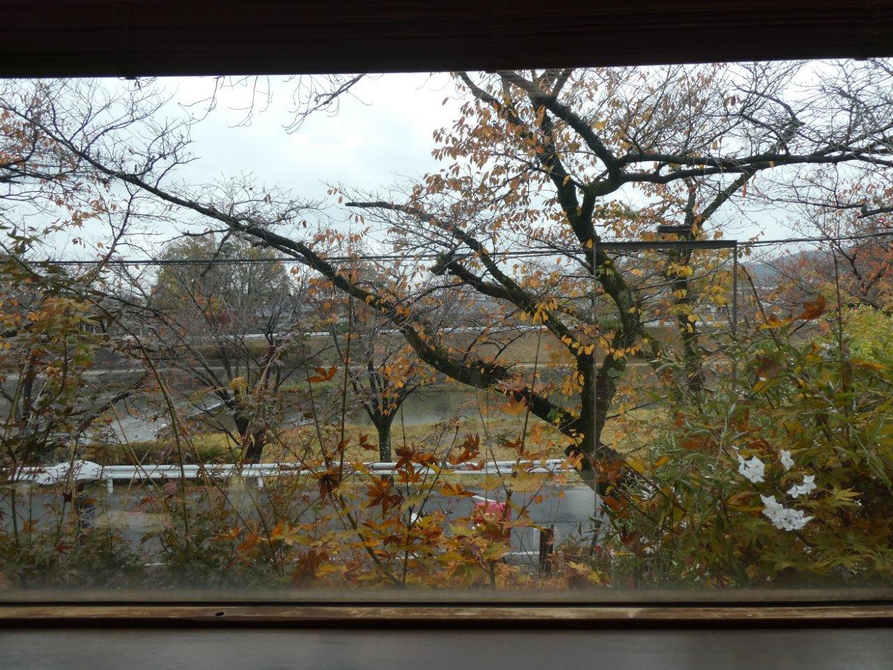 きらきらひかる  　12月初旬の記録_d0106134_20435349.jpg