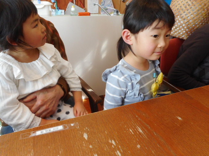 So Many Friends To Play With!_d0148342_17373201.jpg