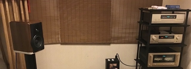 ソナス ファベール エレクタ・アマトールIII 自宅試聴記_b0225847_22573925.jpeg