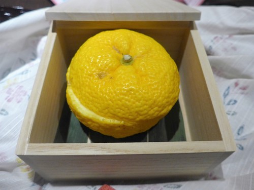 赤坂見附「さ行」へ行く。_f0232060_2114977.jpg