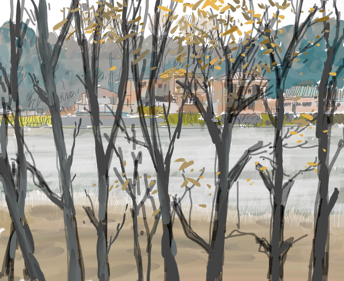 782 泉佐野市_d0174269_13313393.jpg