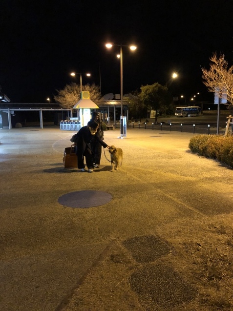 愛犬、幸せの極み_a0394574_01193972.jpeg