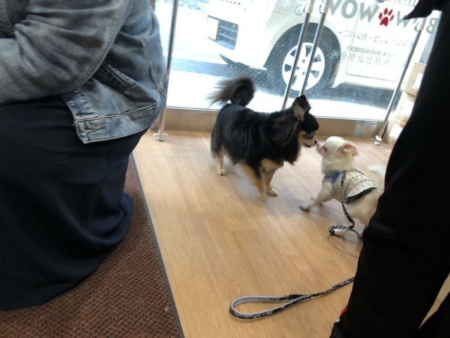 トレーニングブログ_f0357682_11243677.jpeg