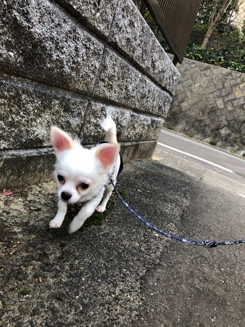 トレーニングブログ_f0357682_11254329.jpeg