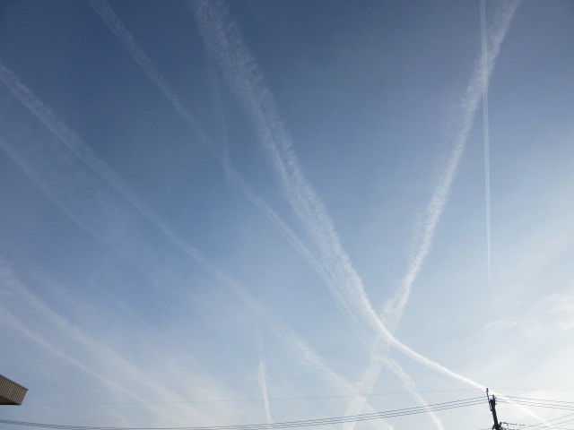 ジョンソン 首相 wiki