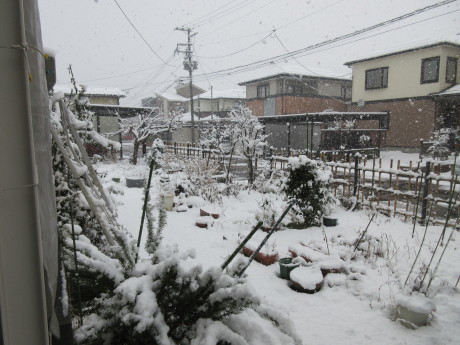 天気予報は雪達磨だらけ・おから鮨_a0203003_19373549.jpg