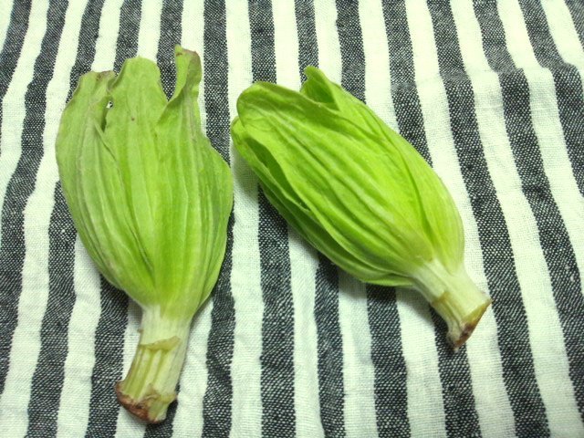 地物の有明海産の 芝海老の素揚げ と 初のフキノトウの天ぷら Minha Praia 地物の有明海産の 芝海老の素揚げ と 初のフキノトウの天ぷら Minha Praia