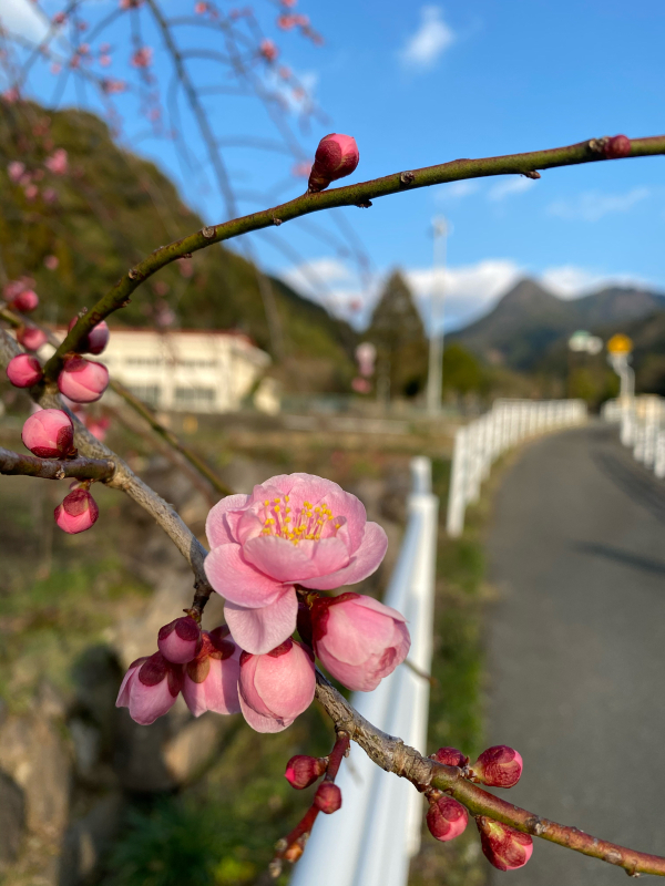 待ちに待った喫茶チロリさんの営業日_f0364318_23224439.jpg