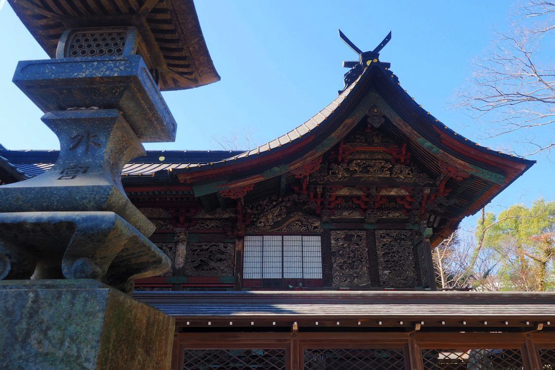 桐生天満宮 紅梅咲初め_a0031821_15261810.jpg