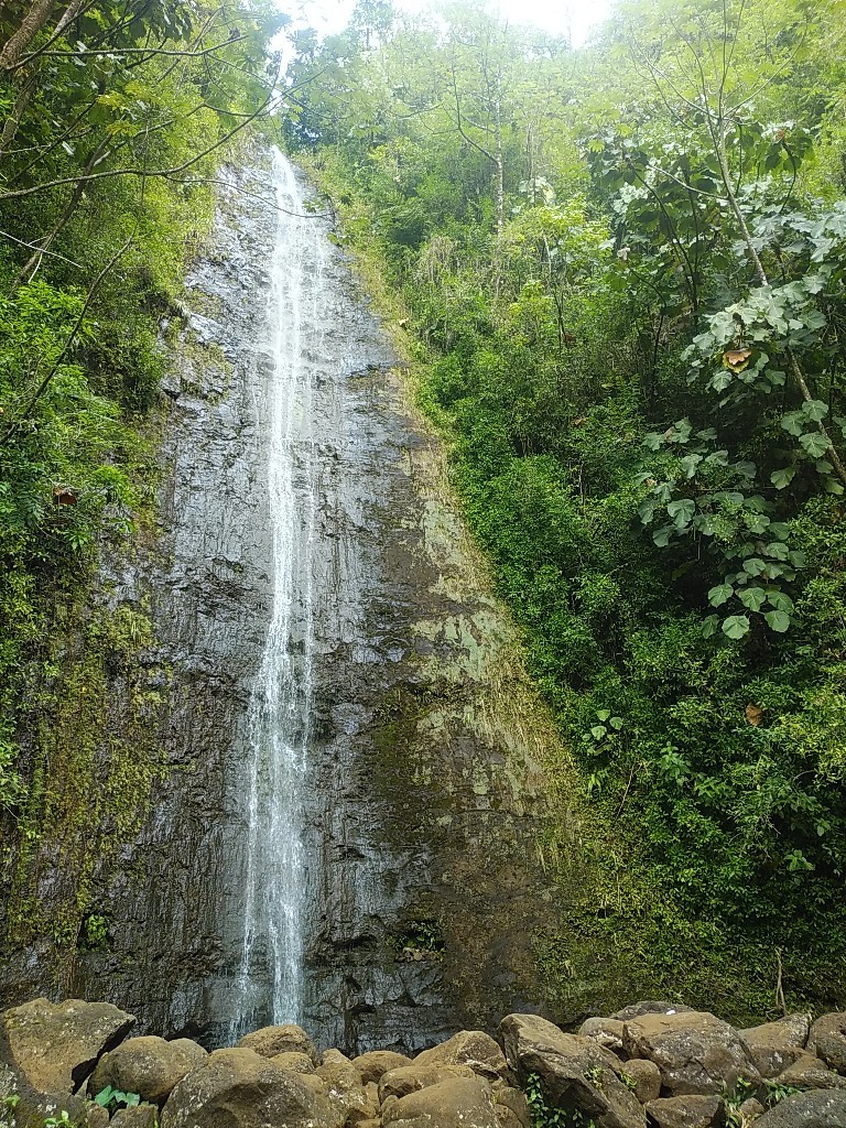 マノア渓谷へ_c0173826_19005122.jpg