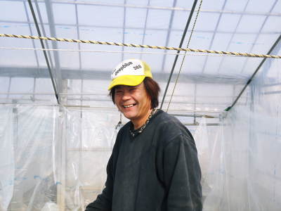 夢スイカ スイカのつる引き後の様子(2020) 小玉は3本仕立ての2玉収穫、大玉は2本仕立ての1玉収穫!_a0254656_17233214.jpg