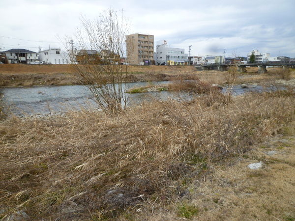 実家帰省の小ネタいろいろ@岐阜でごはん2017冬_c0152767_22264001.jpg