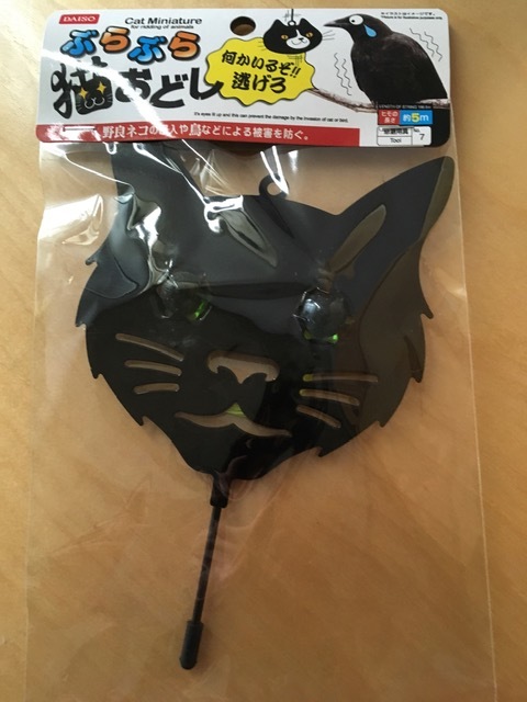 野良猫退治_e0350971_11283316.jpg