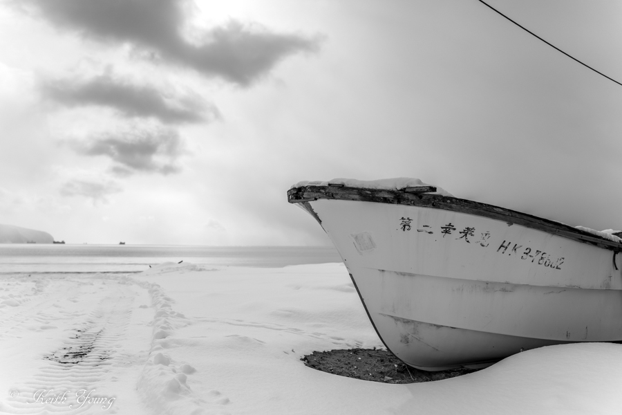 浜辺には_e0338273_16304731.jpg