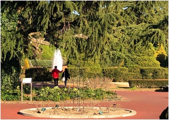 < 植物園 >_c0036080_13424859.jpg