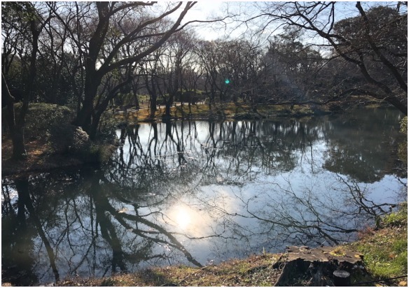 < 植物園 >_c0036080_13465768.jpg