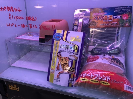 2/8 店長日記_e0173381_18311079.jpg