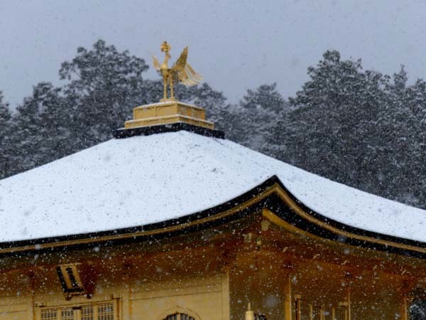 雪の金閣寺1_e0048413_22515628.jpg