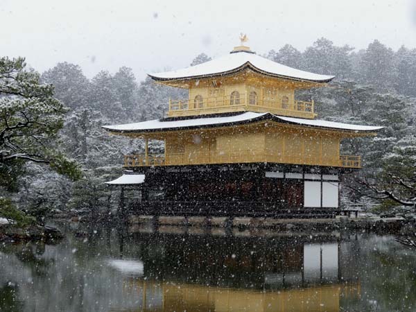 雪の金閣寺1_e0048413_22515974.jpg