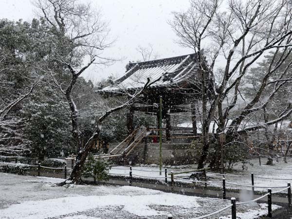 雪の金閣寺1_e0048413_22520971.jpg