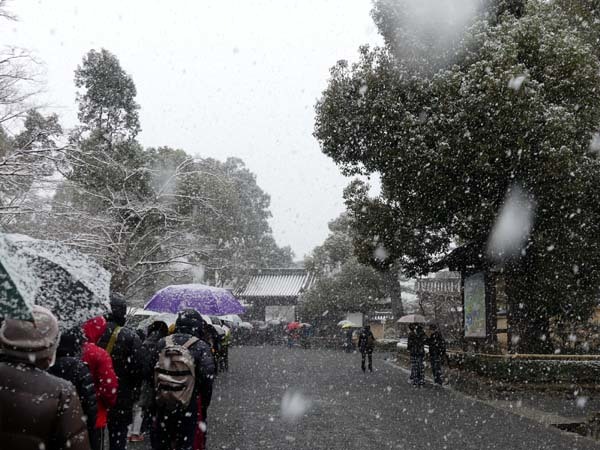 雪の金閣寺1_e0048413_22521213.jpg