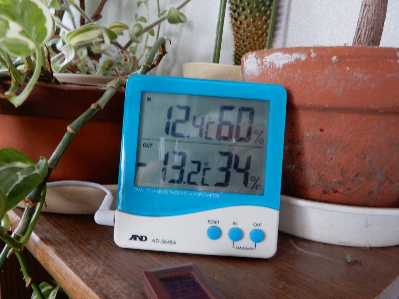 この冬一番はもちろん、19年ぶりの寒さ_c0025115_22355724.jpg