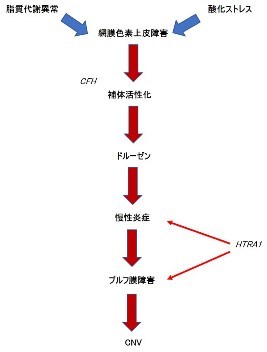 第434回大阪眼科集談会 その2 (1196) 特別講演_f0088231_14285699.jpg