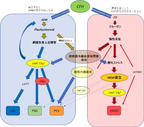 第434回大阪眼科集談会 その2 (1196) 特別講演_f0088231_14462335.jpg