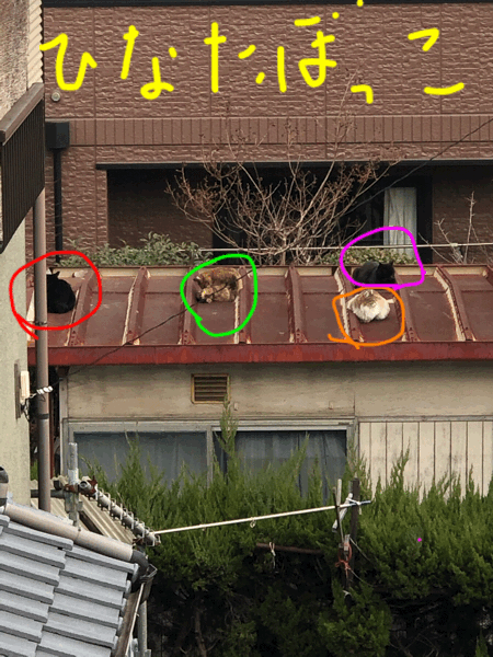 スタジオのベランダ_e0105035_17523022.gif