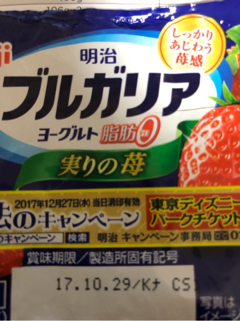 東京ディズニーリポート