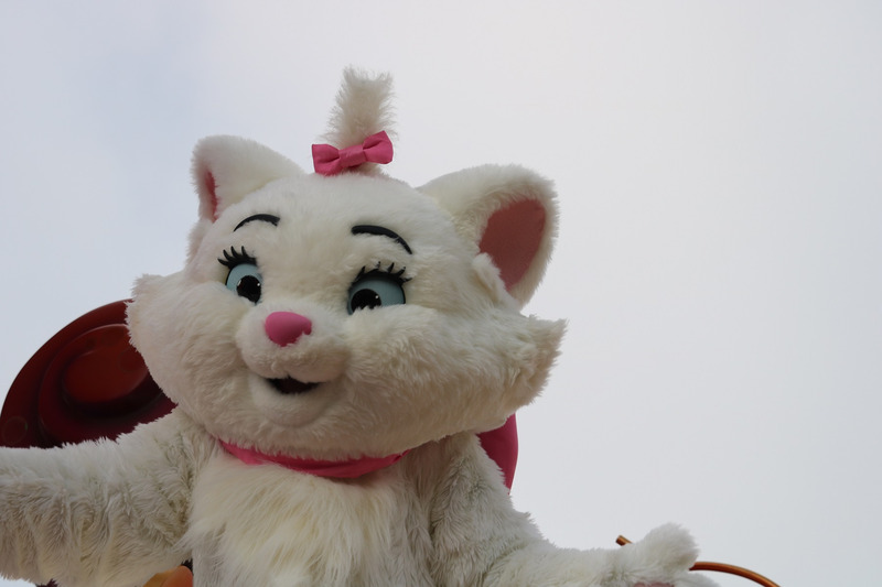 期末テストサービス問題 おしゃれキャットの猫の名前を正式名称で答えなさい 東京ディズニーリポート