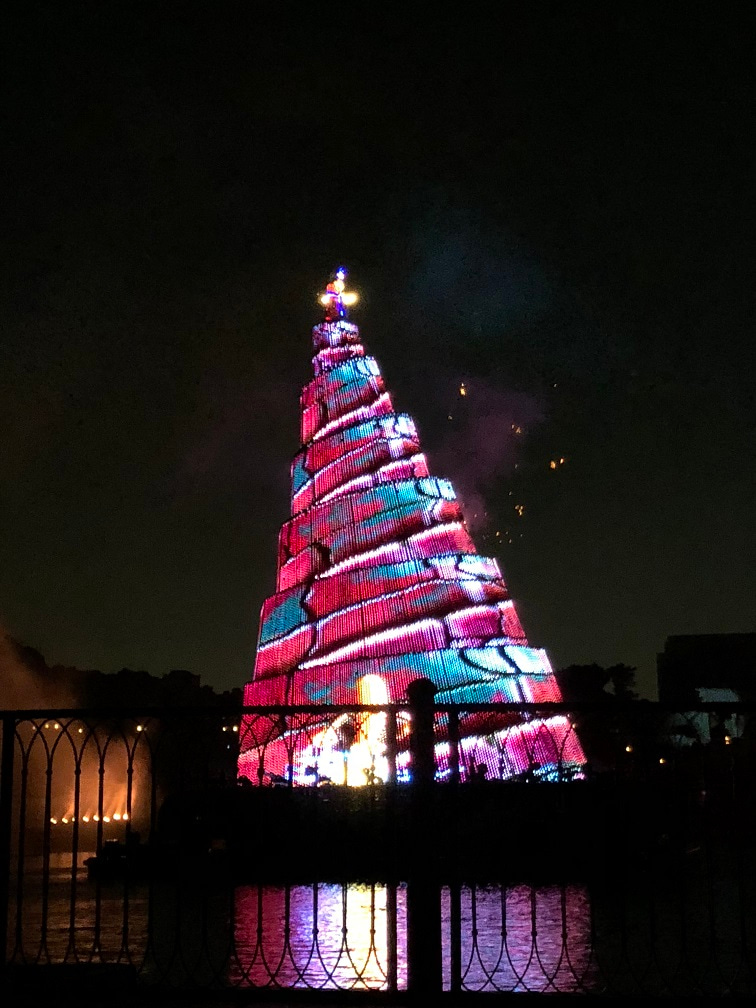 場所レポ リドアイルからファンタズミックを見てみた 東京ディズニーリポート