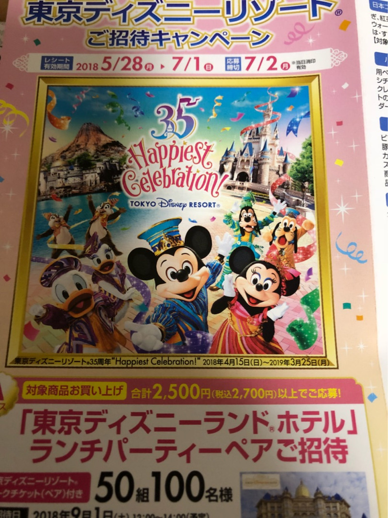 東京ディズニーリポート