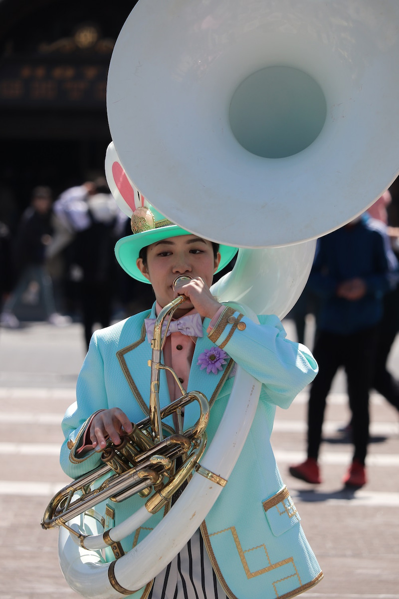音楽の春 マリタイムバンドさんと東京ディズニーランドバンドさんの春 東京ディズニーリポート 音楽の春 マリタイムバンドさんと東京ディズニーランドバンドさんの春 東京ディズニーリポート