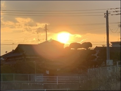 2月8日夕散歩からの9日朝散歩_b0300759_09402611.jpeg